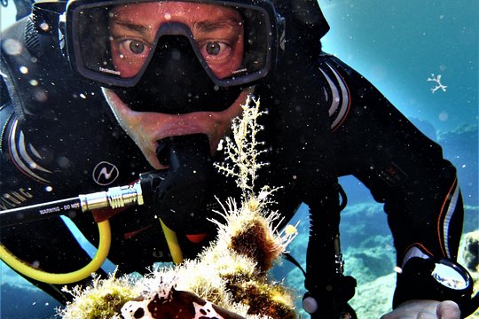 Private Scuba Diving Experience in Mandraki — photograph 2