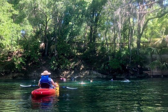 Wekiva River Guided Kayak Tour — photograph 2