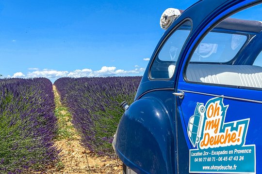 The lavender road in 2cv — photograph 2