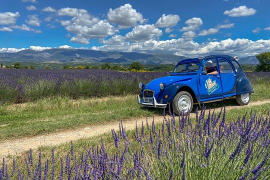 The lavender road in 2cv — photograph 3
