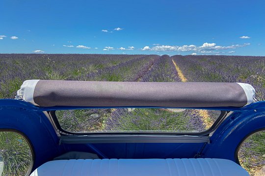 The lavender road in 2cv — photograph 4