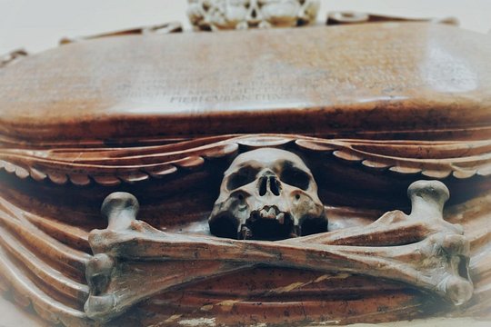 The devilish Vienna — bilde 2