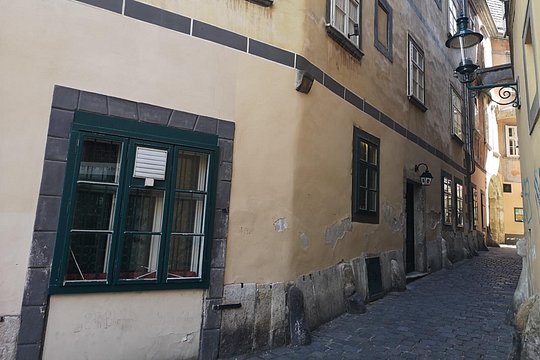 The devilish Vienna — bilde 4