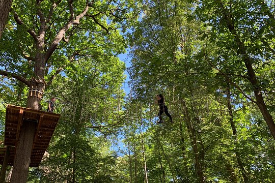 AddictCamp Mud Forest - Route Addict — billede 2