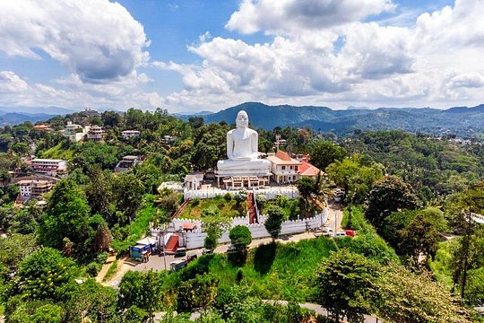 Discover Kandy by Helicopter From Hatton — billede 3