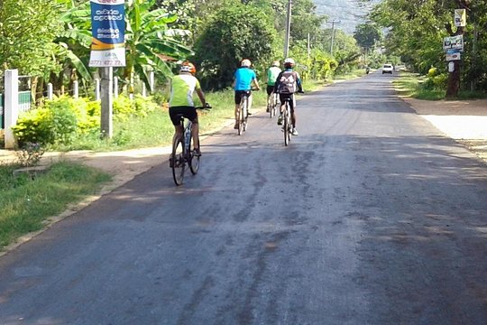 Ella Cycling Experience in Ella — billede 5