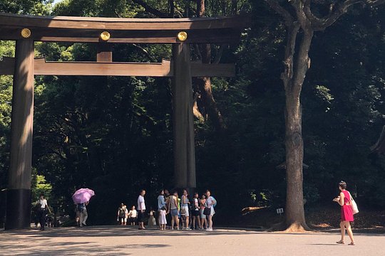 Tokyo Half-day Customized Private Tour — billede 2