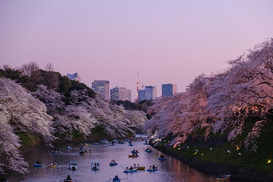 Tokyo 6 hours Customized Private Tour — photo 3