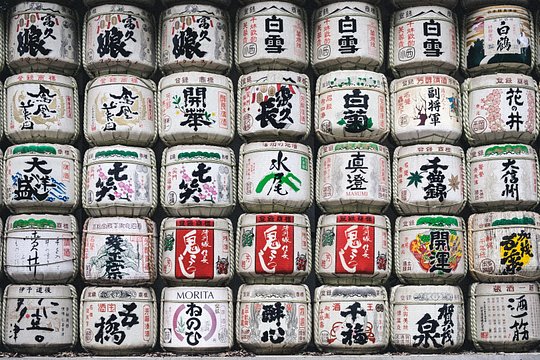 Tokyo Half-day Customized Private Tour — billede 4