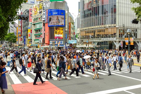 Tokyo Half-day Customized Private Tour — billede 3