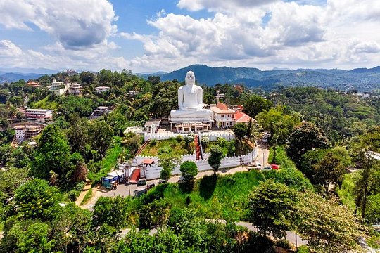 Discover Kandy by Helicopter From Ratmalana — photograph 4