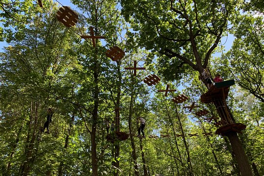 AddictCamp Mud Forest - Route Addict — billede 4