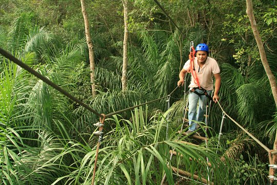 Tree Climbing In Bonito — Foto 2