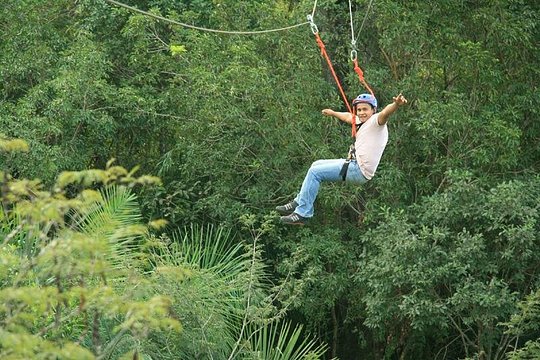 Tree Climbing In Bonito — Foto 3