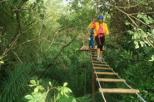 Tree Climbing In Bonito — Foto 4