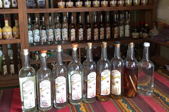 Real Mezcal Adventure — صورة 3