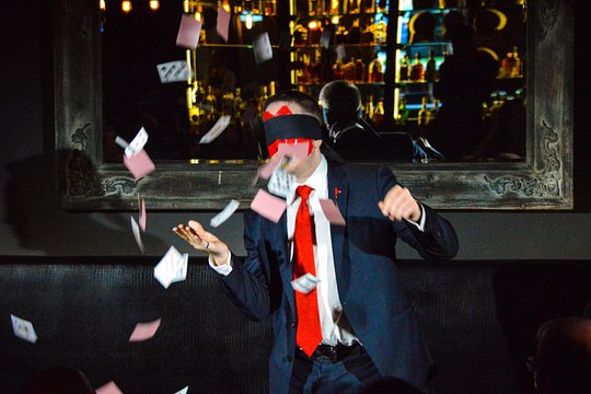 Bring the Magic Home - A Virtual Interactive Performance — photograph 2