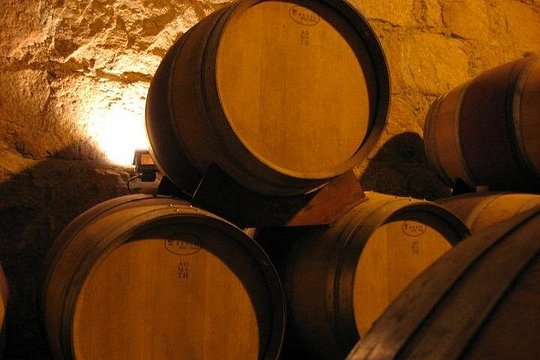 Concha y Toro Night Tour & Dinner — Foto 2