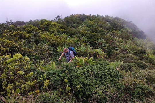 Hiking & trekking in Knuckles — foto 3