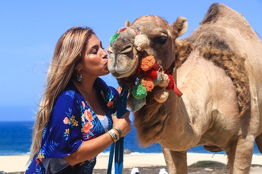 Cabo Camel Ride Experience — bilde 2