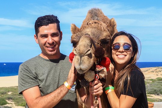 Cabo Camel Ride Experience — bilde 3