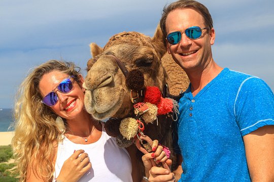 Cabo Camel Ride Experience — bilde 5