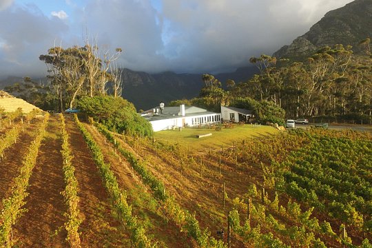 The Constantia Classic – Private Full Day — photograph 2