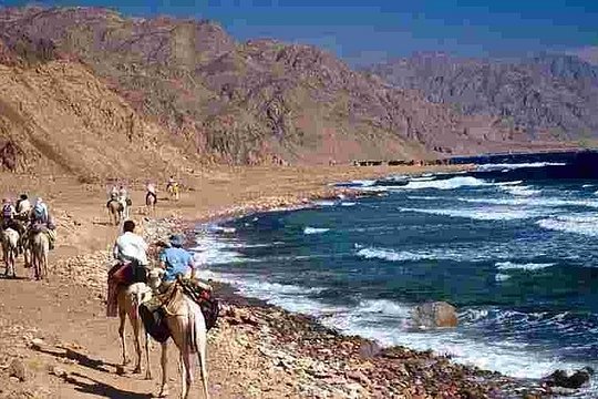 Abu Galoum Safari — billede 2