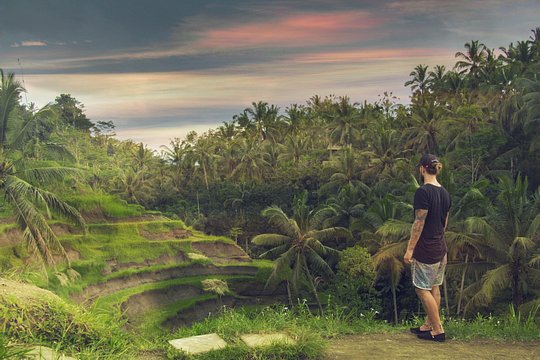 Private Full-Day Bali Tour — photograph 5