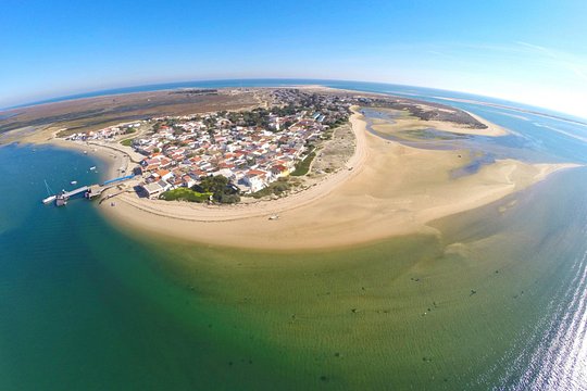 2 Hours Boat Tour in Ria Formosa — photograph 3