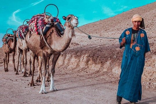 Agafay camel ride — photograph 3