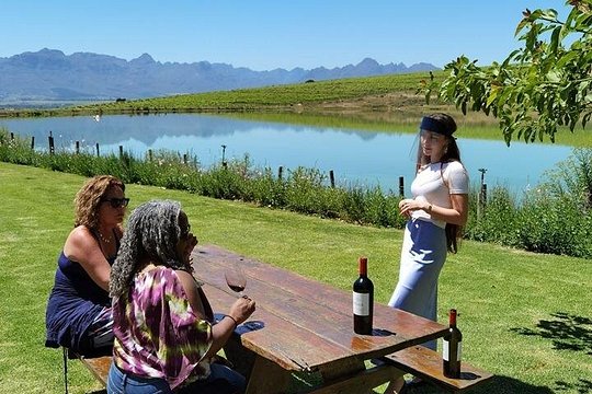Stellenbosch Winelands Experience — photograph 2