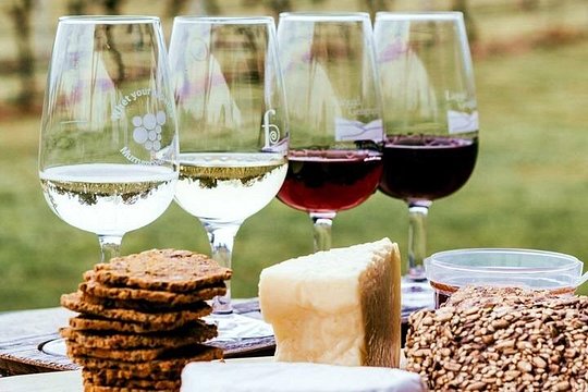Stellenbosch Winelands Experience — photograph 5