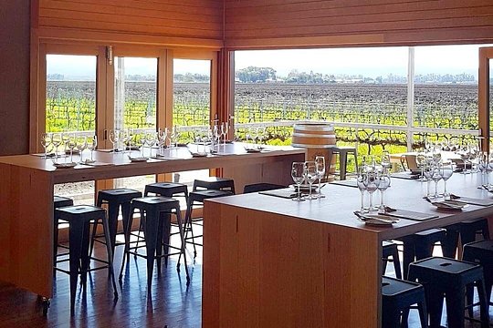 Wine Tasting Experience — صورة 3