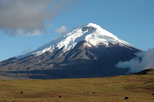 Cotopaxi Volcano Quest! — photograph 2