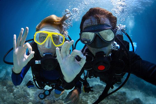 Discover PADI Diving in Barcelona — photograph 2