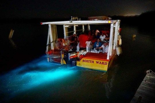 Luminous Lagoon Magical Tour — photograph 2