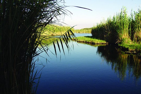 Private Tour Desert Castles Eastern Jordan with Azraq Wetland from Dead Sea — photograph 2