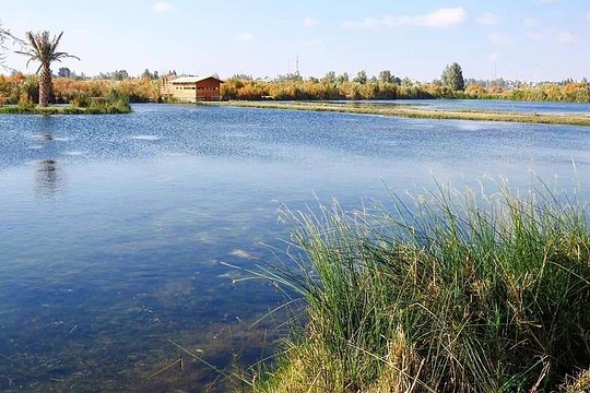 Private Tour Desert Castles Eastern Jordan with Azraq Wetland from Dead Sea — photograph 4