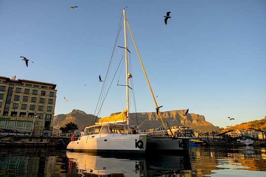 Catamaran Cruise in Cape Town — billede 3