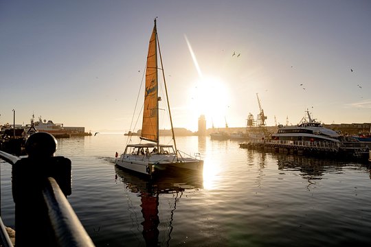 Catamaran Cruise in Cape Town — billede 5