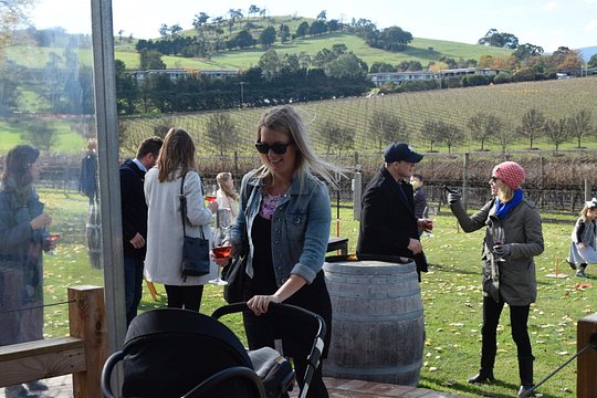 Yarra Valley Winery Tours — photograph 2