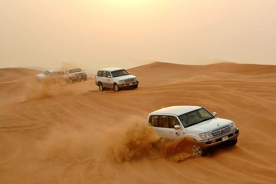 Desert Safari Experience with Dune Bashing and Dinner in Dubai — photograph 2