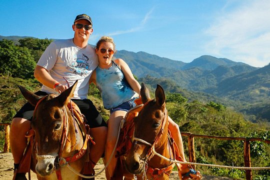 Combo Atv, Zipline and Mules — photograph 3
