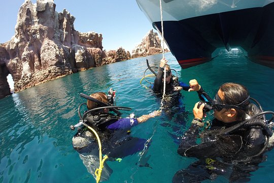 Los Cabos Small-Group Scuba Diving Experience for Beginners — bild 5
