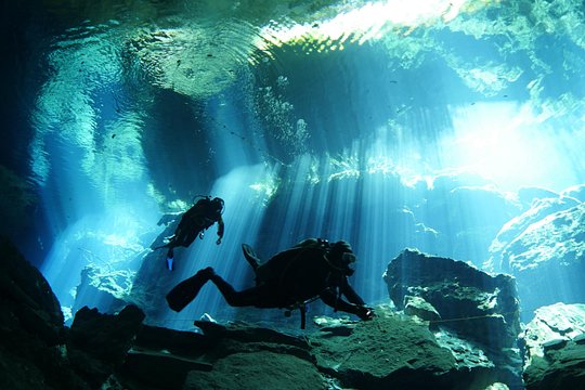 Cenote Diving - 2 Tank Dive Trip for Certified Divers — photograph 3
