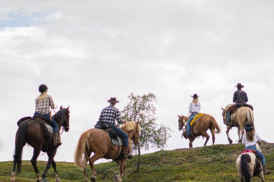 Horseback riding — photograph 5
