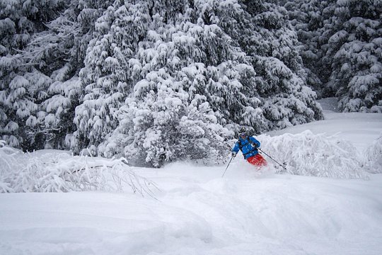 1-day Backcountry Tour — photograph 5
