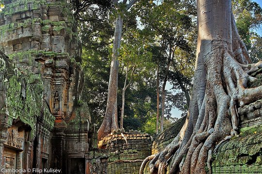 Angkor Wat Sunrise Small Group Experience — photograph 2
