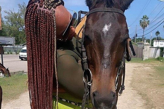 Horseback Riding, ATV and Ocean Zip lining combo from Montego Bay — photograph 5